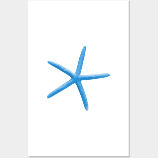 Starfish, Aqua Blue Posters and Art